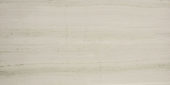 Polished Passion 24X48 | Alita Tile