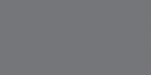 Polished Tokyo 12X24 | Alita Tile