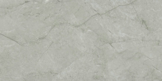 Roma Argento Honed 12X24 | Alita Tile