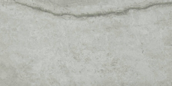 Roma Argento Honed 12X24 | Alita Tile