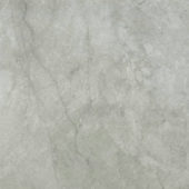 Roma Argento Honed 24X24 | Alita Tile