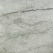 Roma Argento Honed 24X24 | Alita Tile