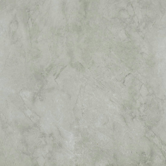 Roma Argento Honed 24X24 | Alita Tile