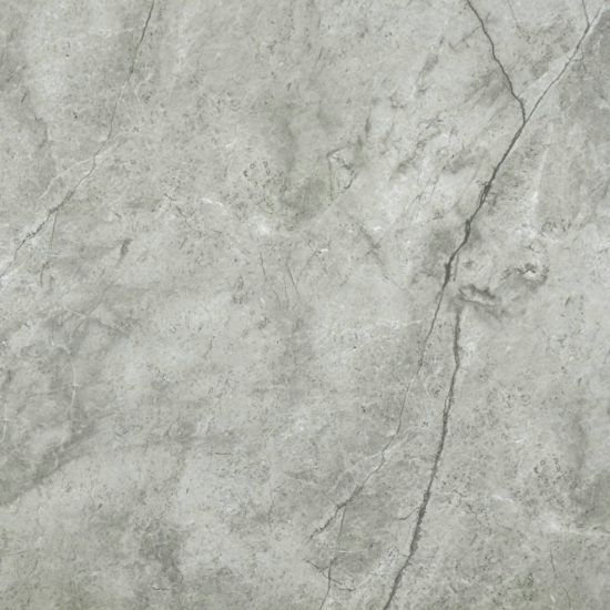 Roma Argento Honed 24X24 | Alita Tile