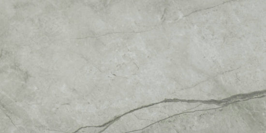 Roma Argento Honed 24X48 | Alita Tile