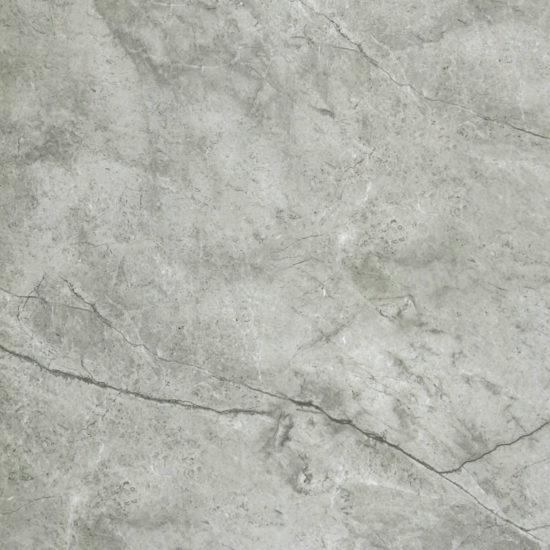 Roma Argento Honed 32X32 | Alita Tile