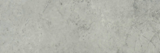 Roma Argento Honed 4X12 | Alita Tile