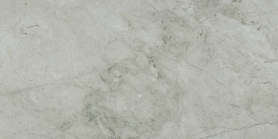 Roma Argento Polished 12X24 | Alita Tile