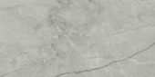 Roma Argento Polished 12X24 | Alita Tile