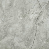 Roma Argento Polished 24X24 | Alita Tile