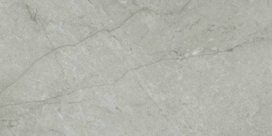 Roma Argento Polished 24X48 | Alita Tile