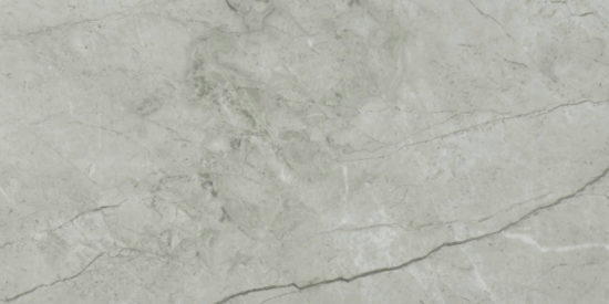 Roma Argento Polished 24X48 | Alita Tile