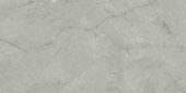 Roma Argento Polished 24X48 | Alita Tile