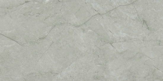 Roma Argento Polished 24X48 | Alita Tile