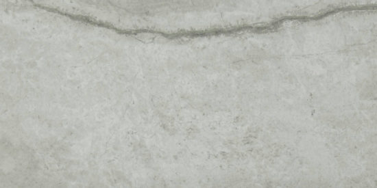 Roma Argento Polished 24X48 | Alita Tile