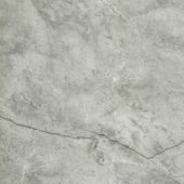Roma Argento Polished 32X32 | Alita Tile