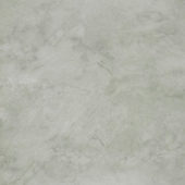 Roma Argento Polished 32X32 | Alita Tile