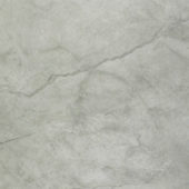 Roma Argento Polished 32X32 | Alita Tile