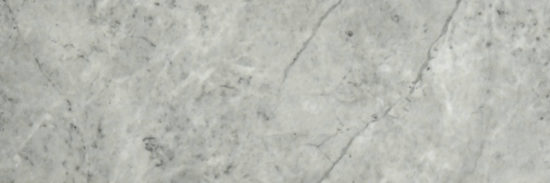 Roma Argento Polished 4X12 | Alita Tile
