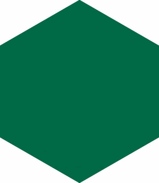 Ronda 5.5X6.3” Green Hexagon | Alita Tile