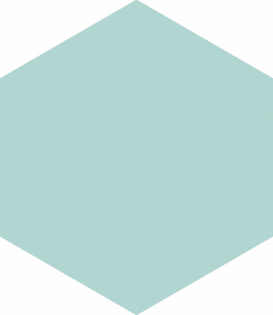Ronda 5.5X6.3” Mint Hexagon | Alita Tile