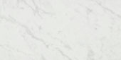San Giulio Gioia Honed 12X24 | Alita Tile