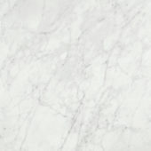San Giulio Gioia Polished 24X24 | Alita Tile