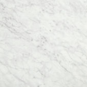 San Giulio Gioia Polished 24X24 | Alita Tile