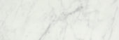 San Giulio Gioia Polished 4X12 | Alita Tile