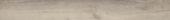 Sandstone 7.76"x60" | Alita Tile