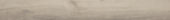 Sandstone 7.76"x60" | Alita Tile