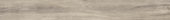 Sandstone 7.76"x60" | Alita Tile