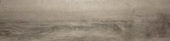 Silver Spruce 12X47 | Alita Tile
