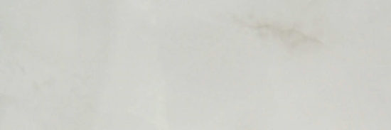 Sorrento Onyx Honed 4X12 | Alita Tile