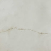Sorrento Onyx Polished 24X24 | Alita Tile