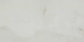 Sorrento Onyx Polished 24X48 | Alita Tile