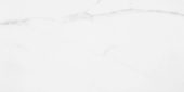 Statuario Venezia Honed 24X48 | Alita Tile
