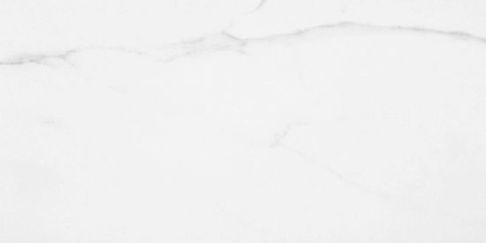 Statuario Venezia Honed 24X48 | Alita Tile