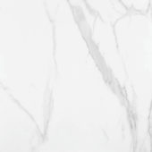 Statuario Venezia Honed 32X32 | Alita Tile