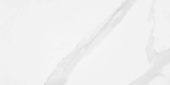 Statuario Venezia Polished 12X24 | Alita Tile