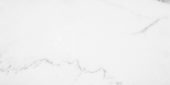 Statuario Venezia Polished 12X24 | Alita Tile