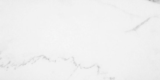Statuario Venezia Polished 12X24 | Alita Tile