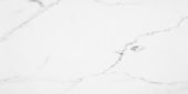 Statuario Venezia Polished 12X24 | Alita Tile