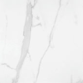 Statuario Venezia Polished 24X24 | Alita Tile