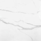 Statuario Venezia Polished 24X24 | Alita Tile