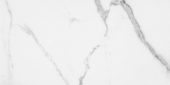 Statuario Venezia Polished 24X48 | Alita Tile