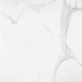 Statuario Venezia Polished 32X32 | Alita Tile