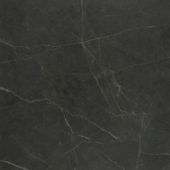 Tivoli Nero Honed 32X32 | Alita Tile