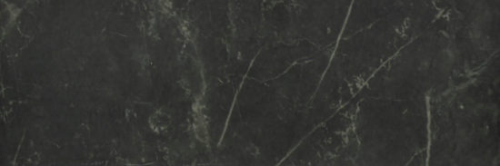 Tivoli Nero Polished 4X12 | Alita Tile