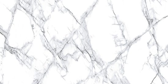 Treasure Ice White Marble 24x48 Polished | Alita Tile